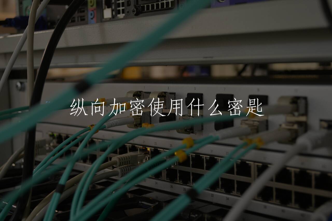 纵向加密使用什么密匙 核心概念图