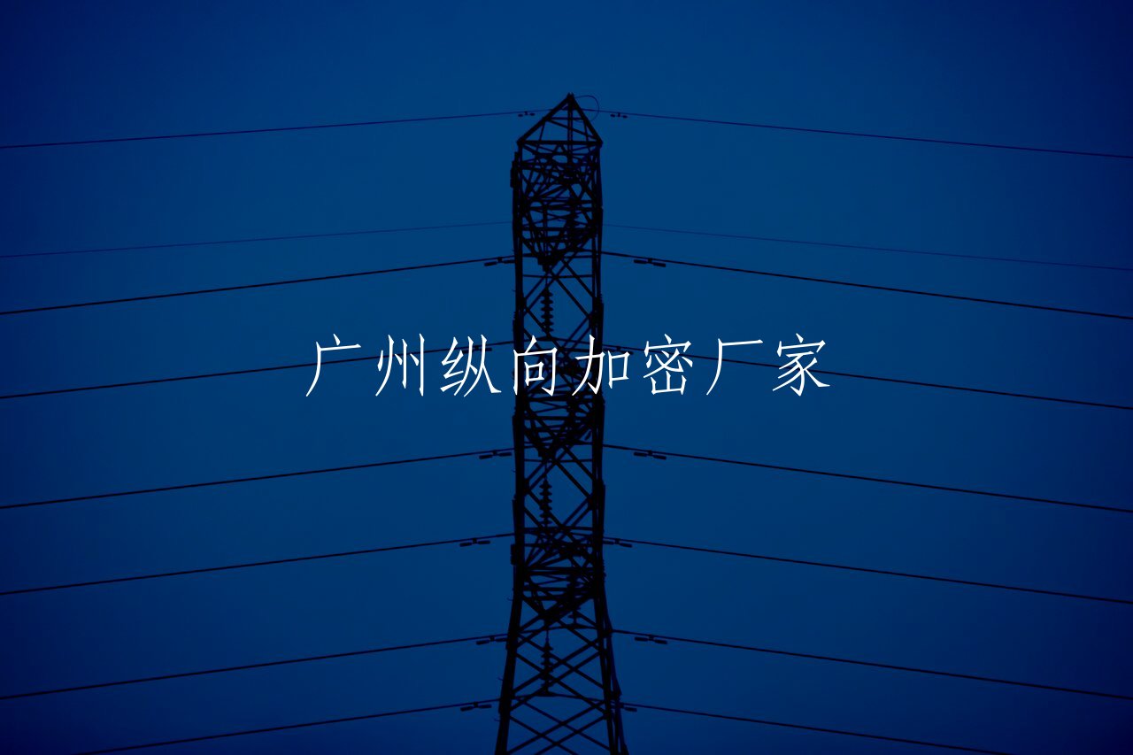 广州纵向加密厂家 核心概念图