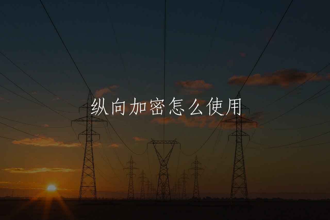 纵向加密怎么使用 核心概念图