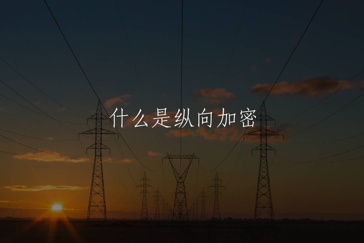 什么是纵向加密 核心概念图