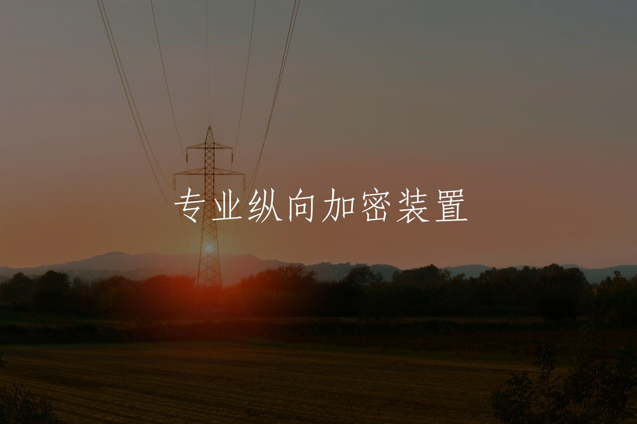 专业纵向加密装置 核心概念图