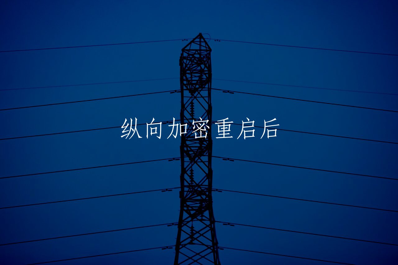 纵向加密重启后 核心概念图