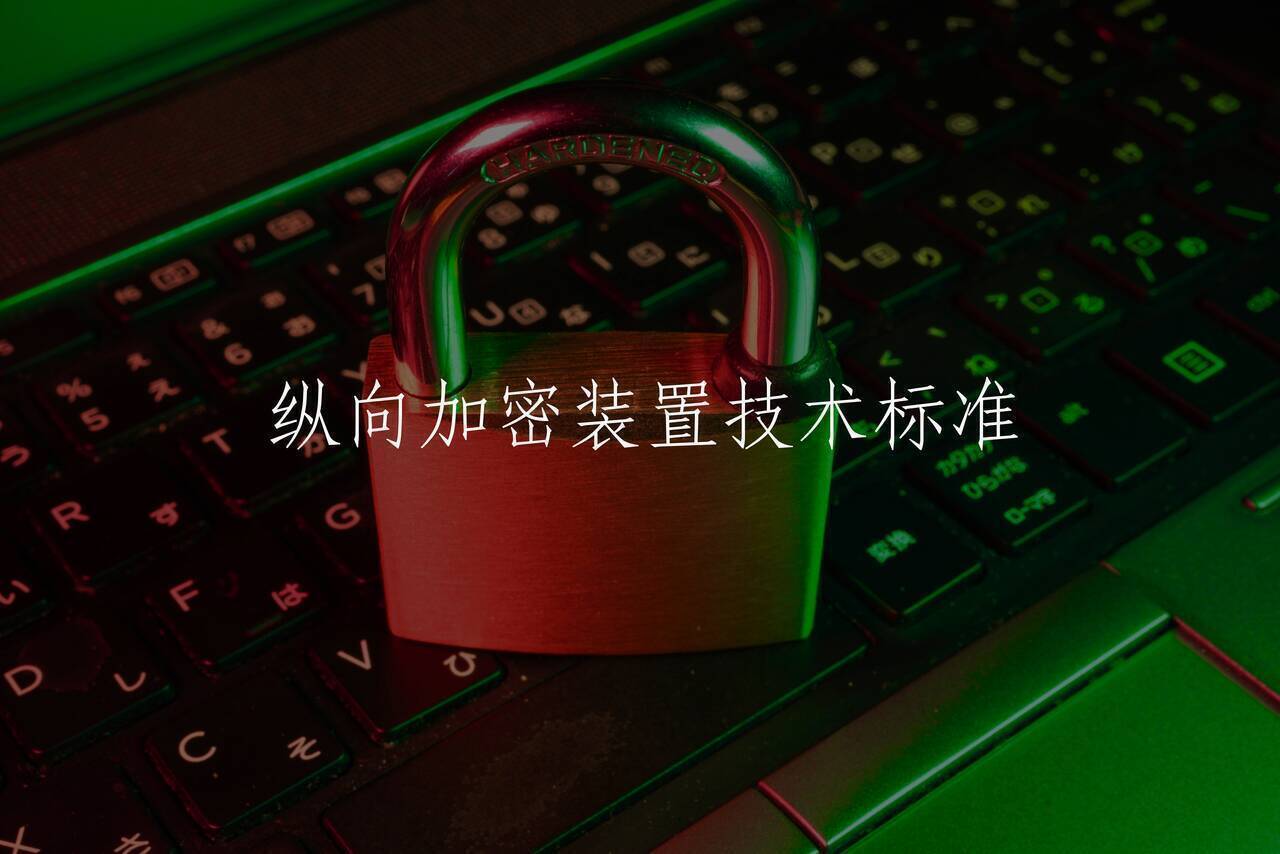 纵向加密装置技术标准 核心概念图