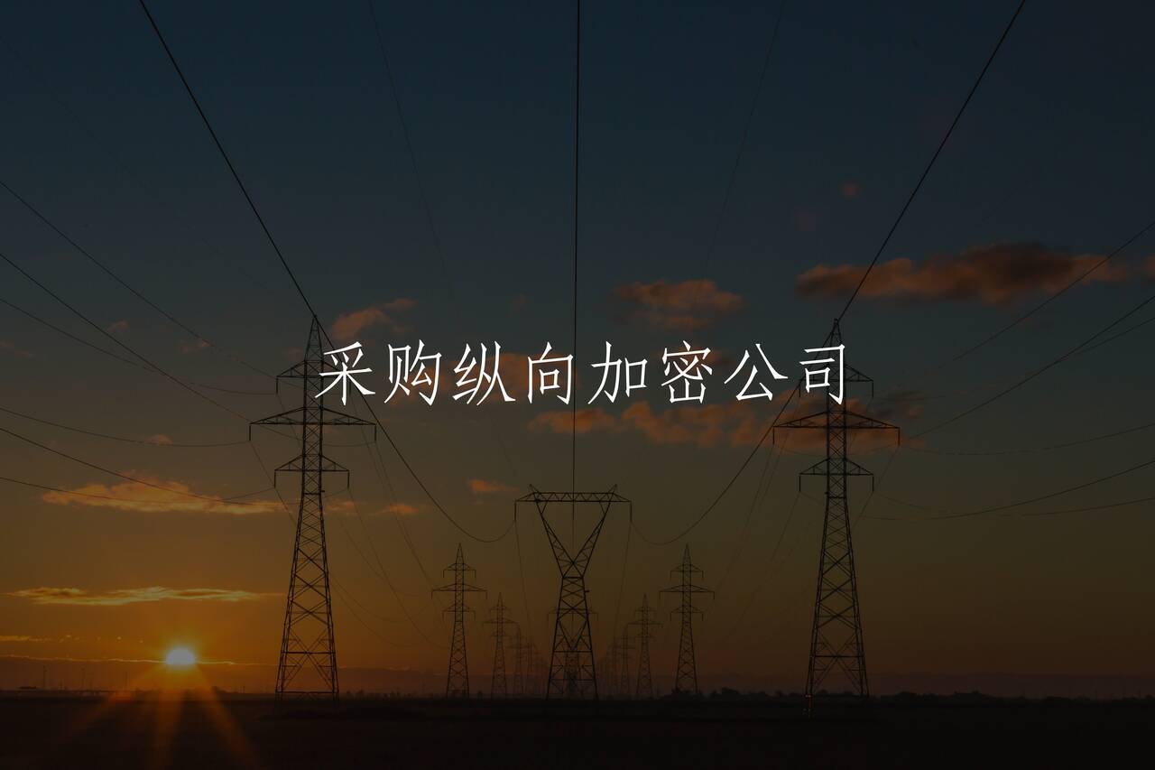 采购纵向加密公司 核心概念图