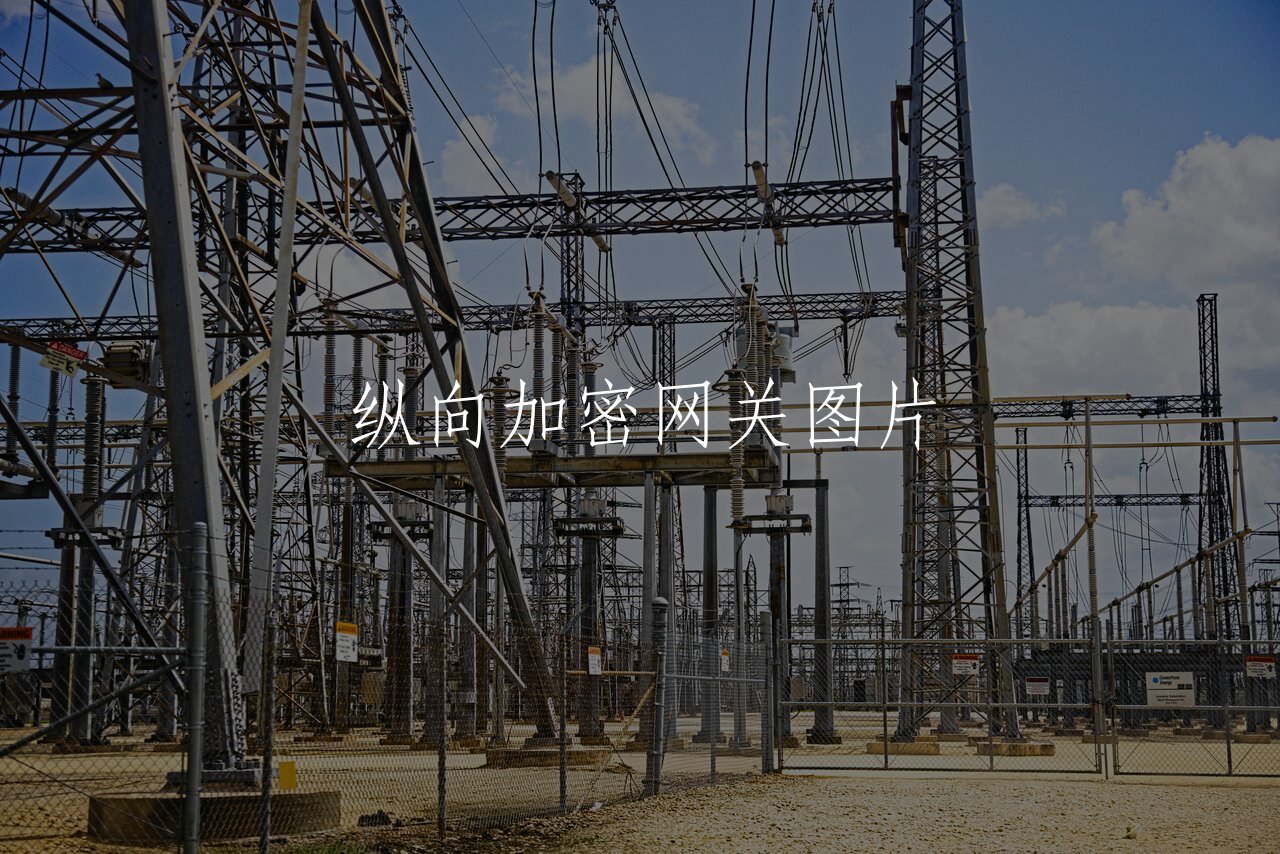 纵向加密网关图片 核心概念图