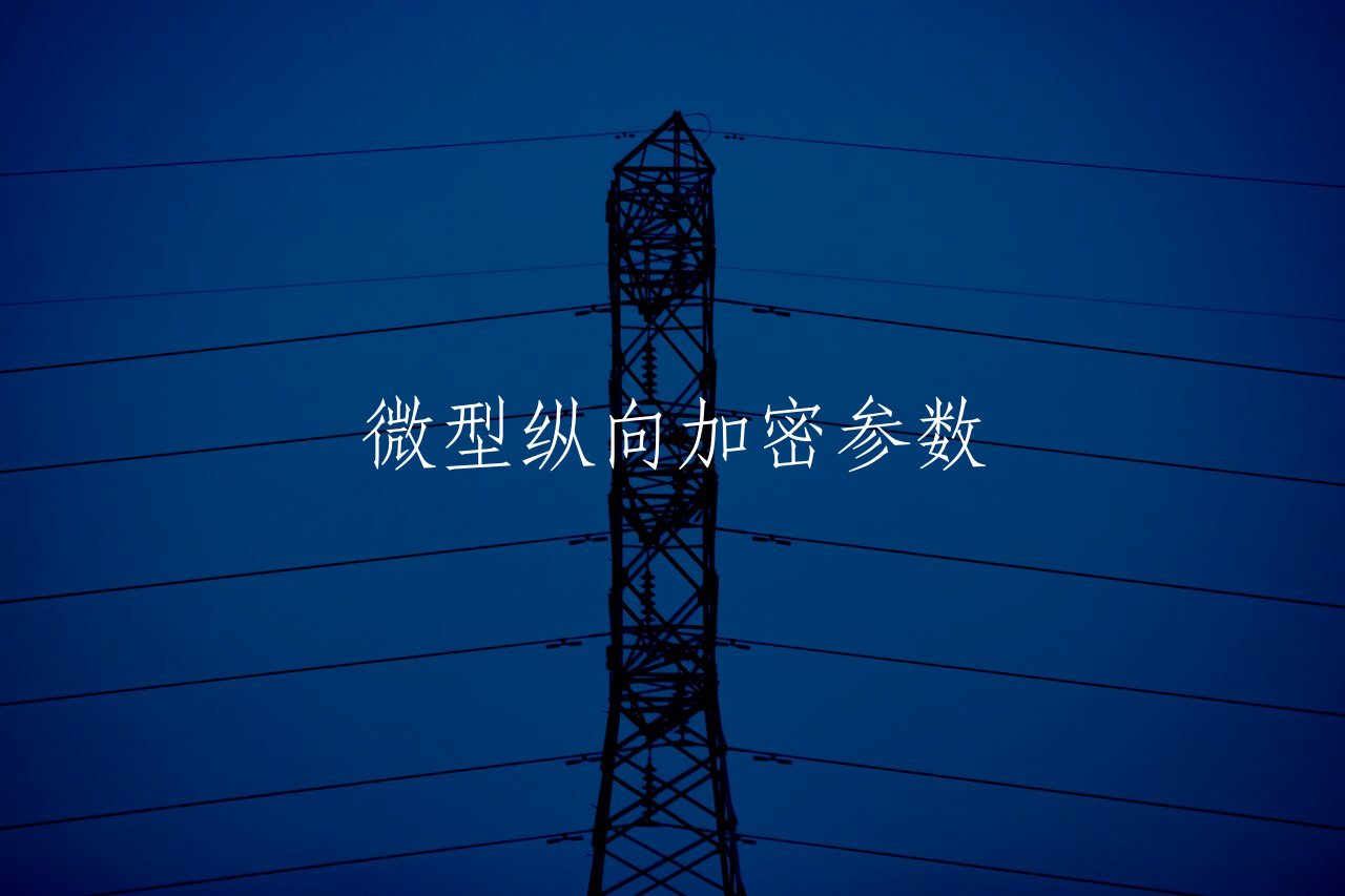 微型纵向加密参数 核心概念图
