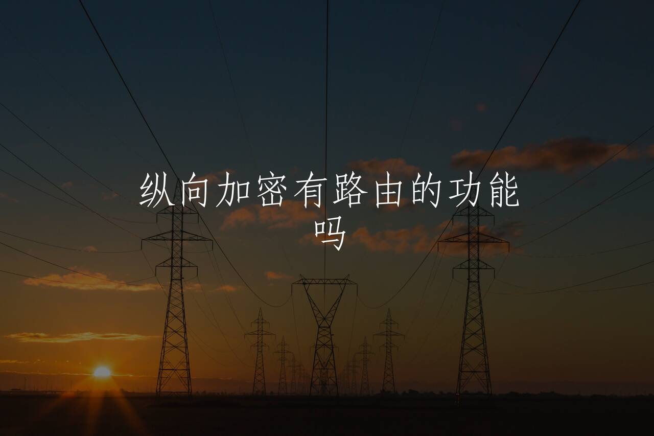 纵向加密有路由的功能吗 核心概念图