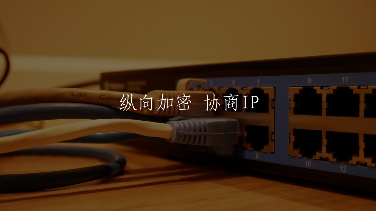 纵向加密 协商IP 核心概念图