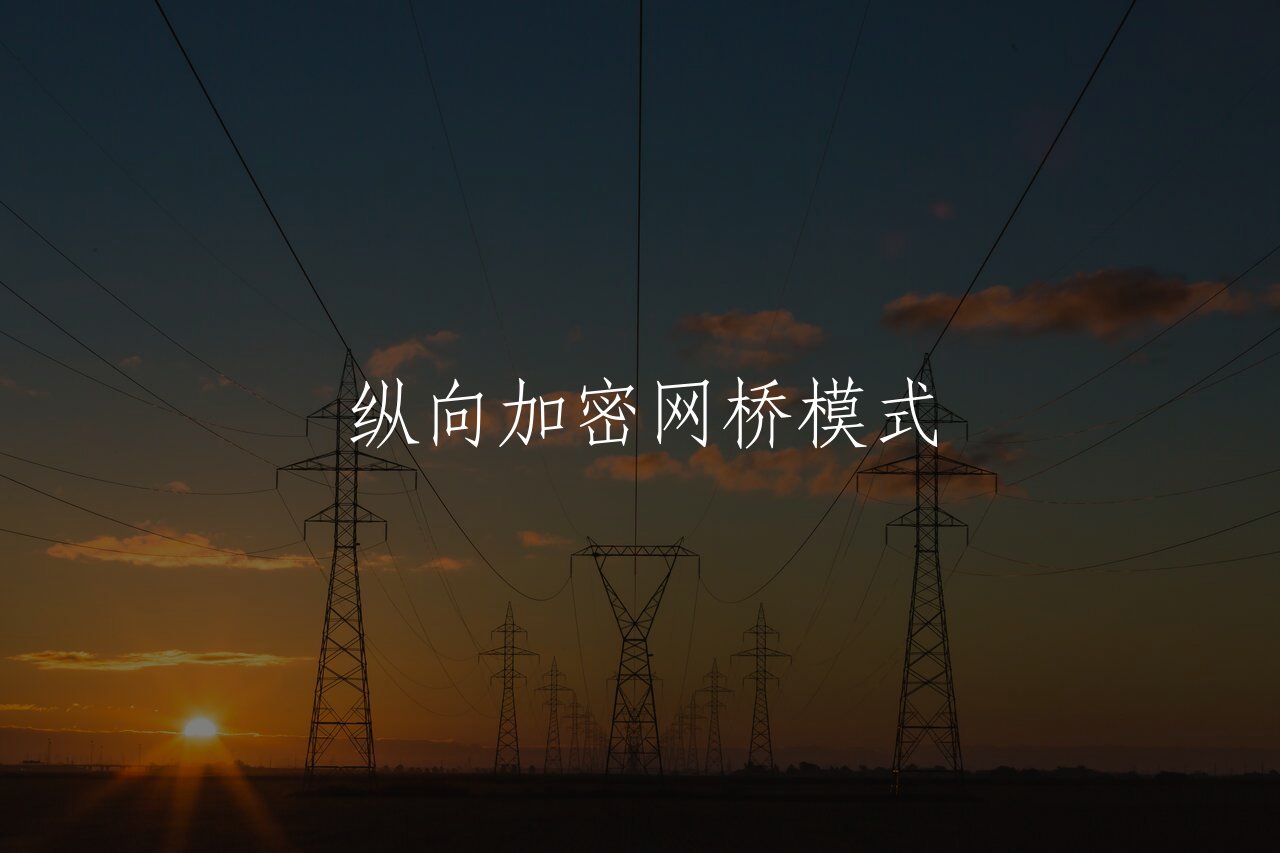 纵向加密网桥模式 核心概念图