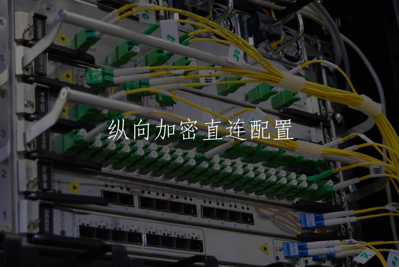 纵向加密直连配置 核心概念图