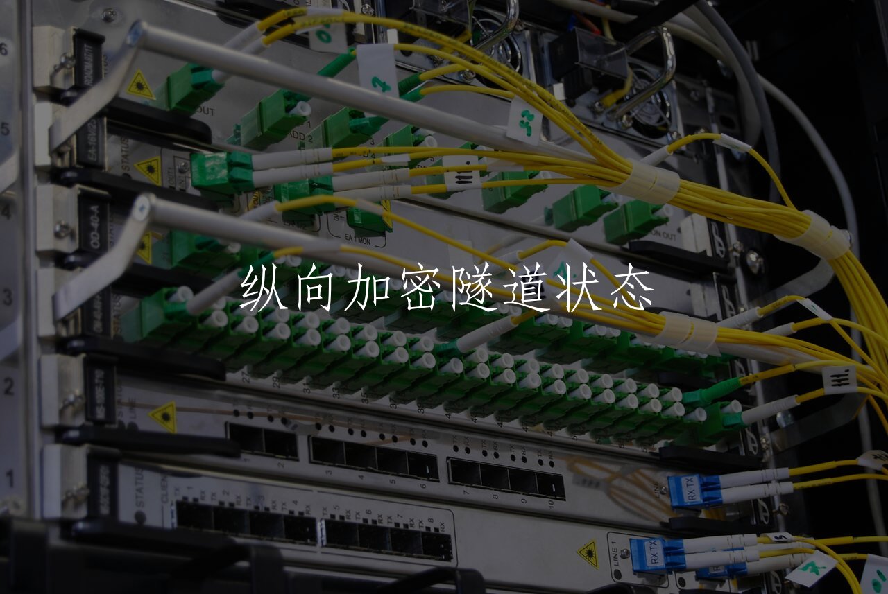 纵向加密隧道状态 核心概念图