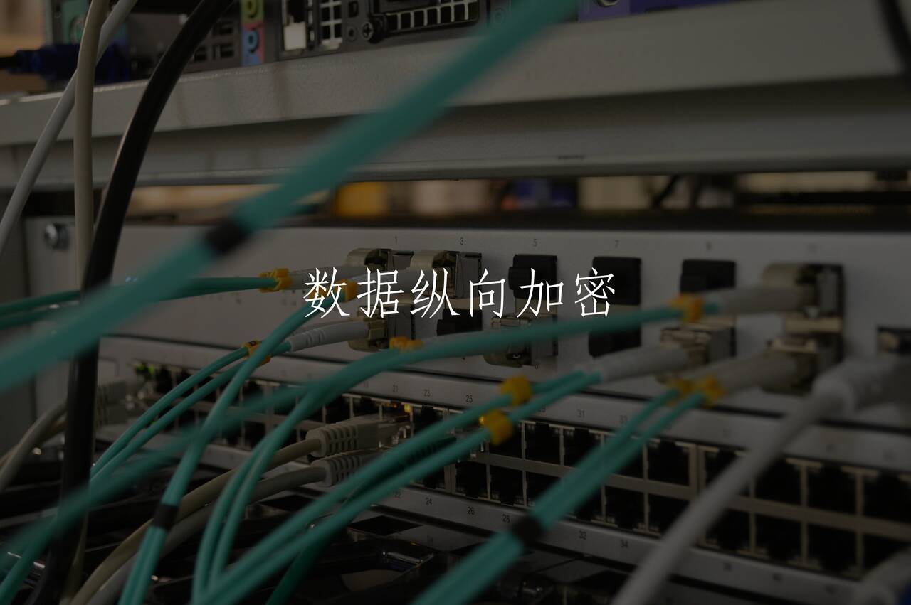 数据纵向加密 核心概念图