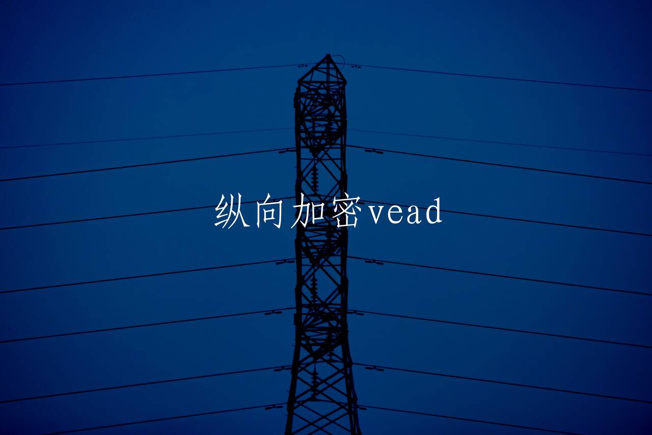 纵向加密vead 核心概念图
