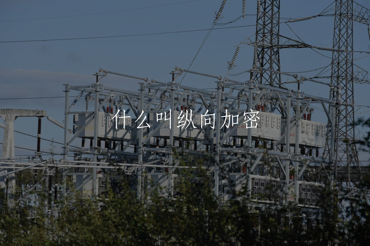 什么叫纵向加密 核心概念图