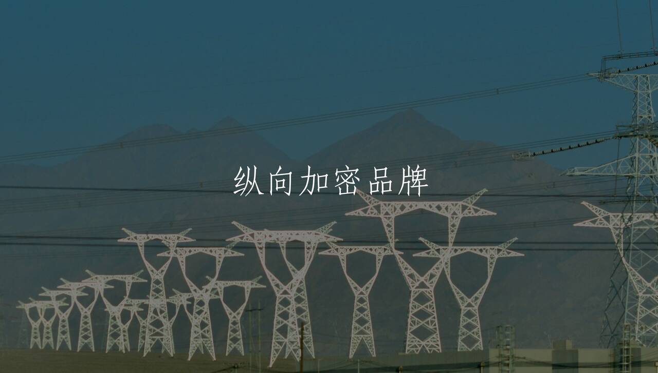 纵向加密品牌 核心概念图