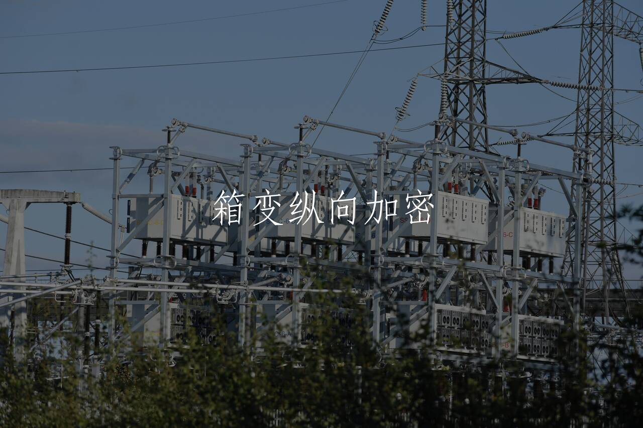 箱变纵向加密 核心概念图