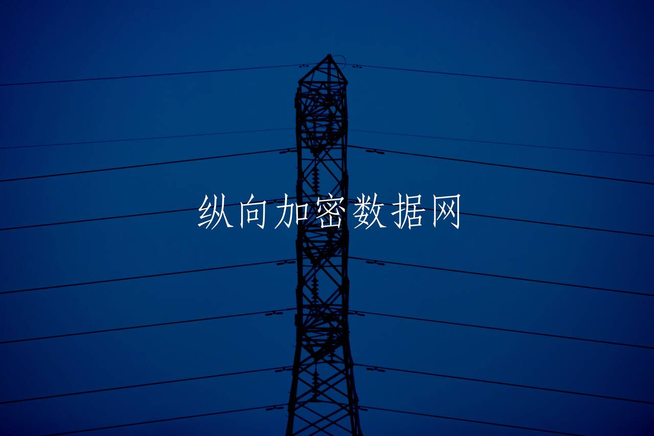 纵向加密数据网 核心概念图