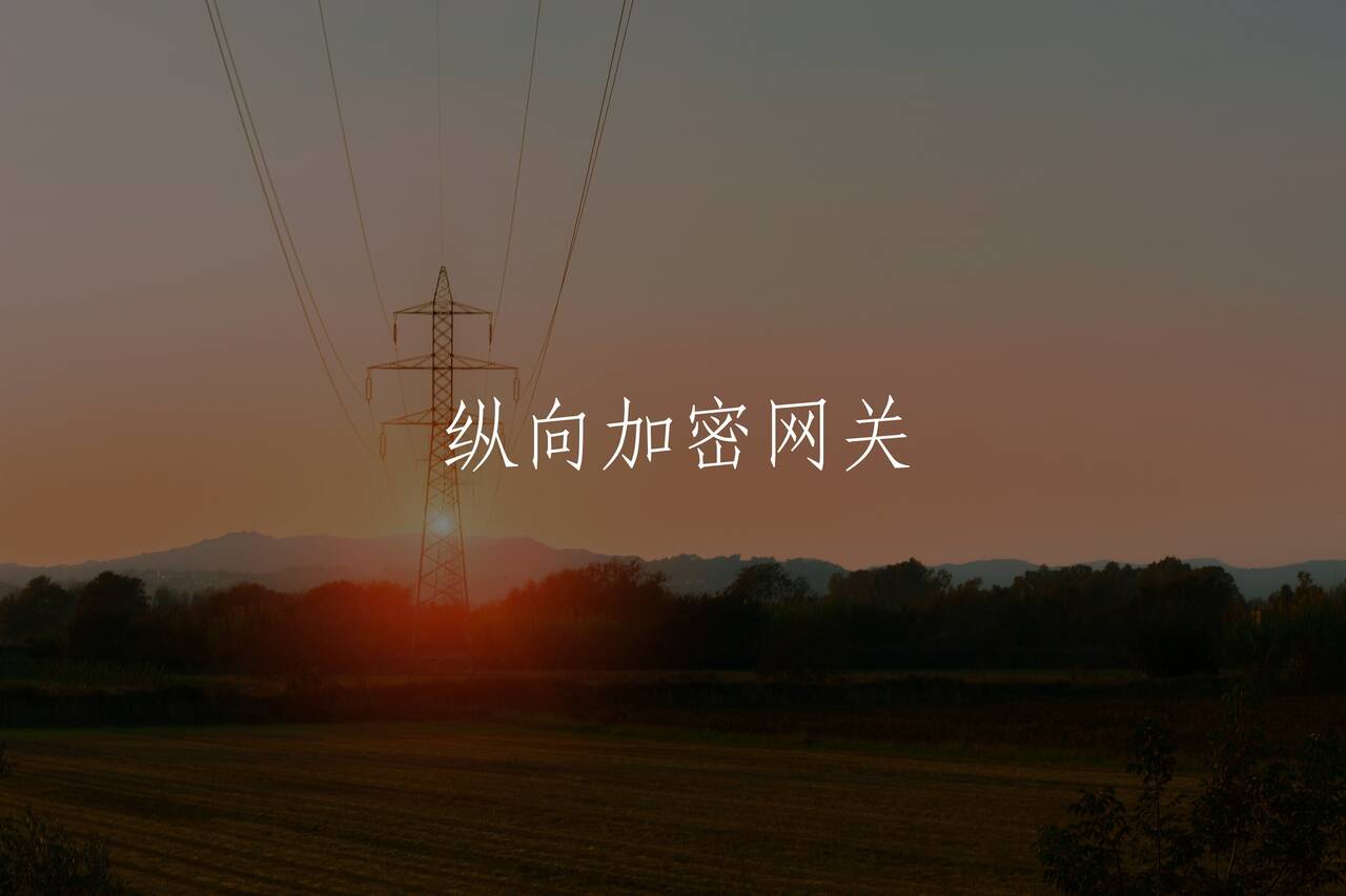 纵向加密网关 核心概念图