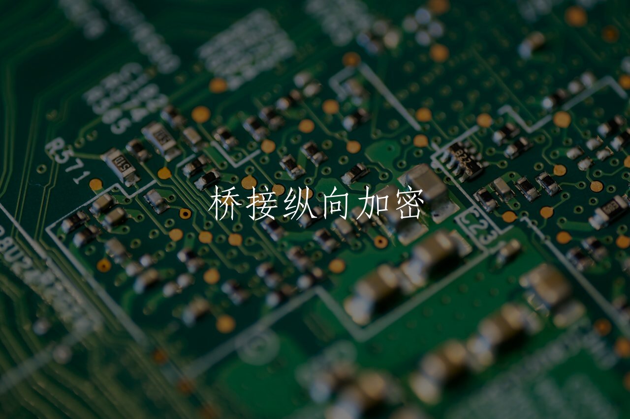 桥接纵向加密 核心概念图