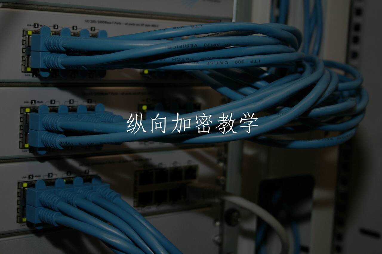 纵向加密教学 核心概念图