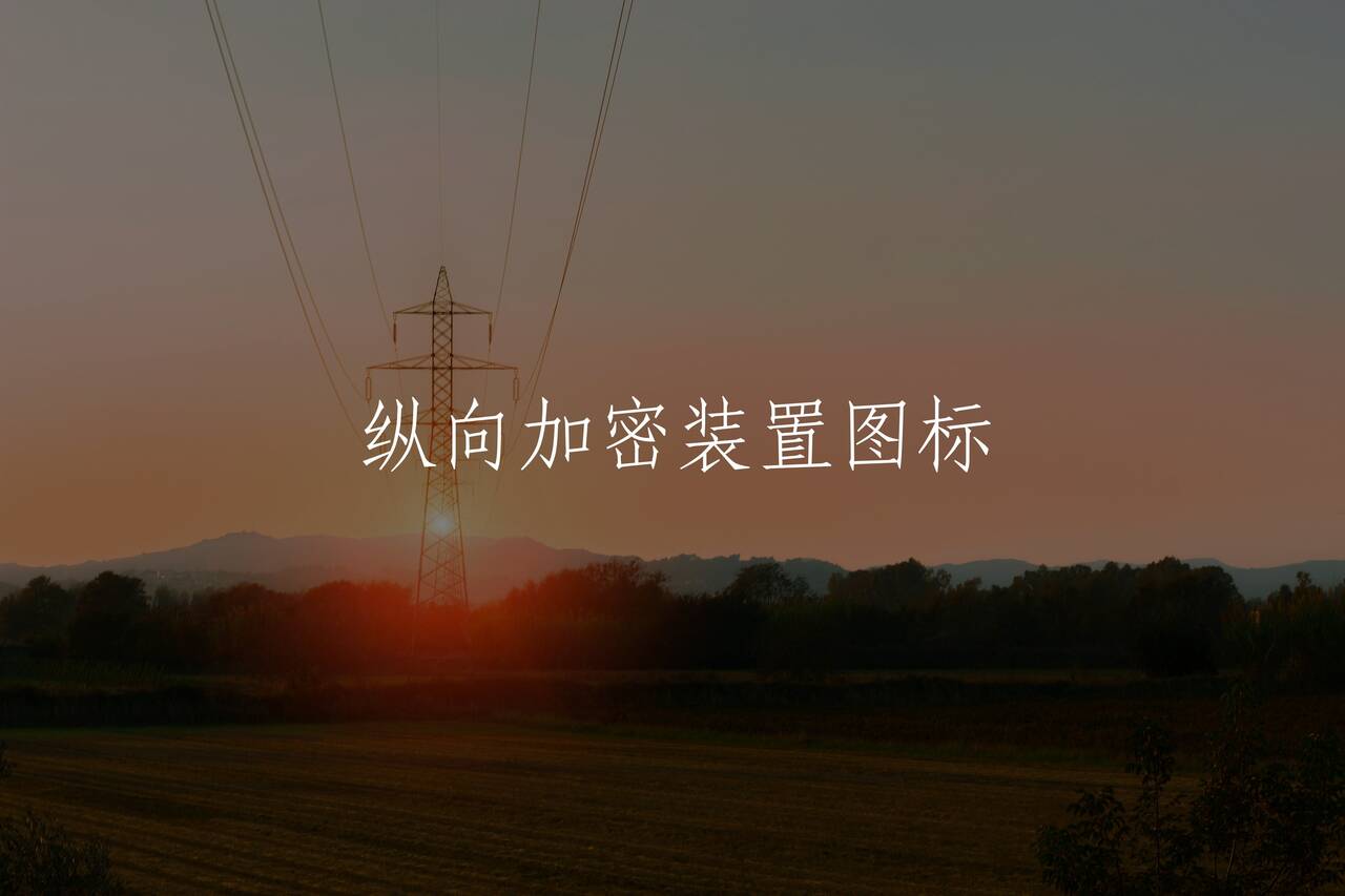 纵向加密装置图标 核心概念图