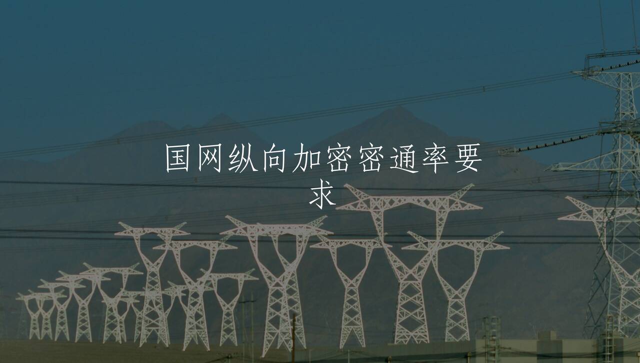 国网纵向加密密通率要求 核心概念图