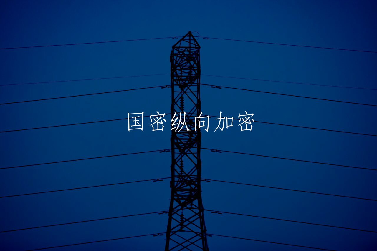 国密纵向加密 核心概念图