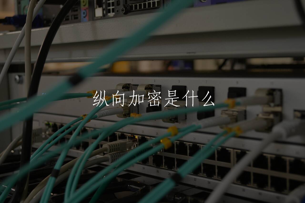 纵向加密是什么 核心概念图