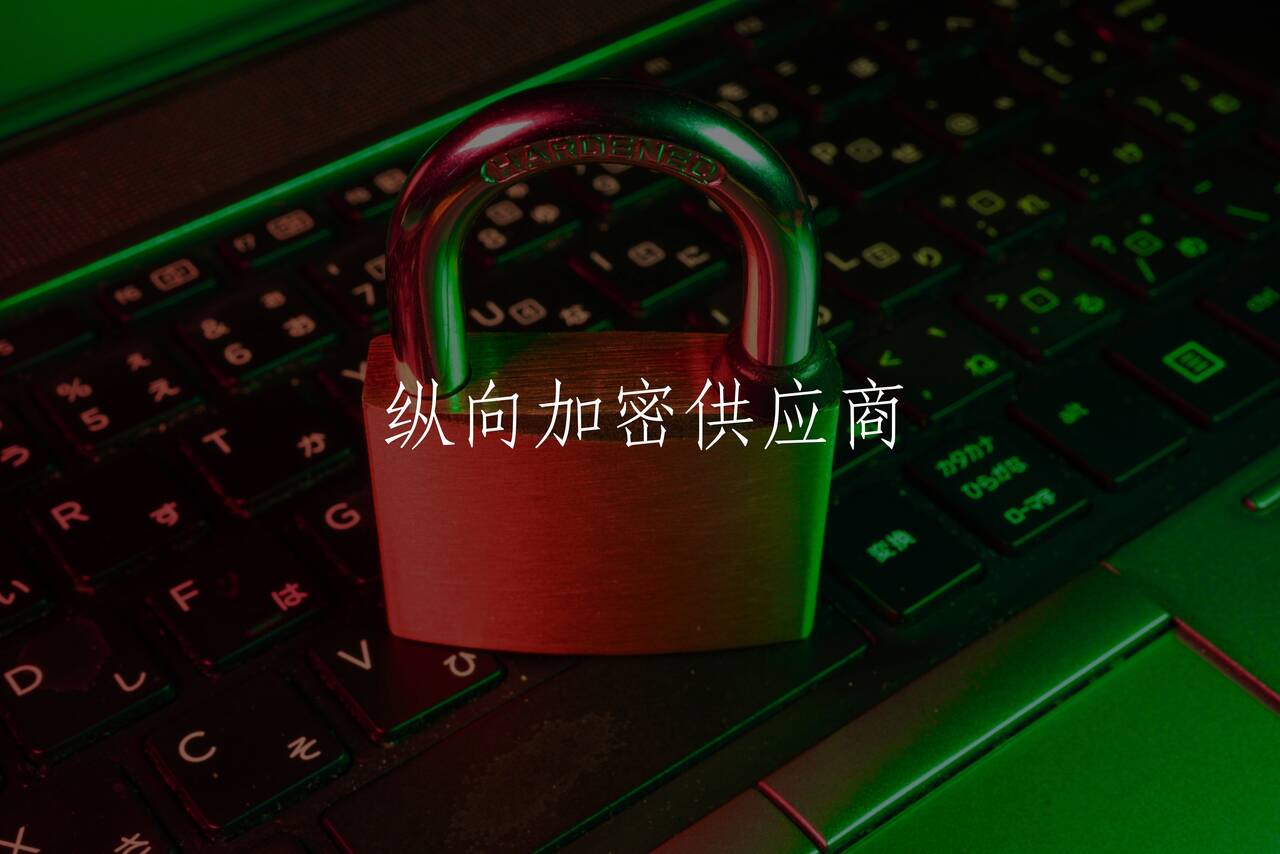 纵向加密供应商 核心概念图