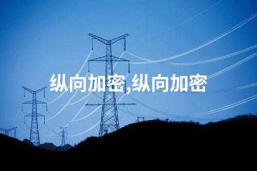 纵向加密